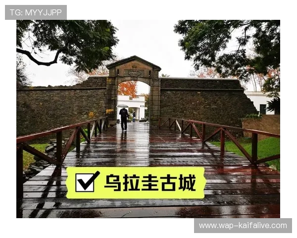 乌拉圭对西班牙比赛场地所在城市的交通枢纽及到达方式详解